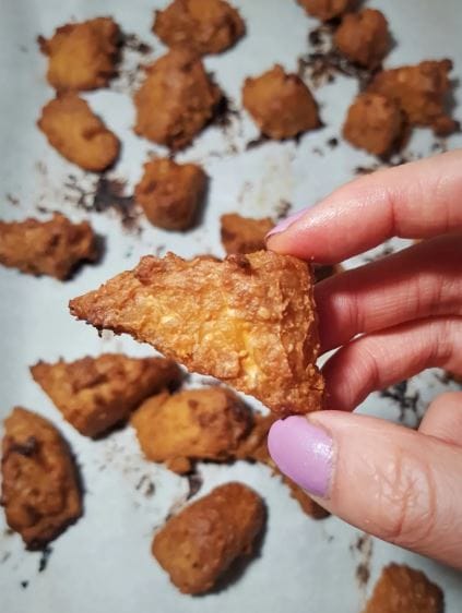 tempeh
