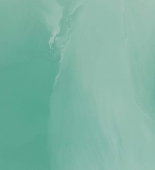 PUR-Weight-Loss-Coaching-1on1-Program-7